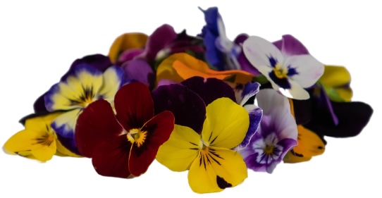 Ehető virágok Árvácska mix totalmix (30 db/csom)