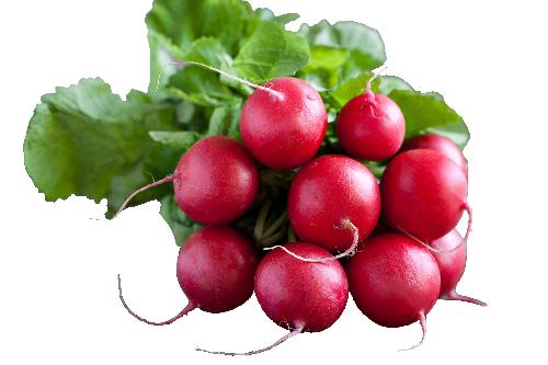 Retek hónapos /csomó