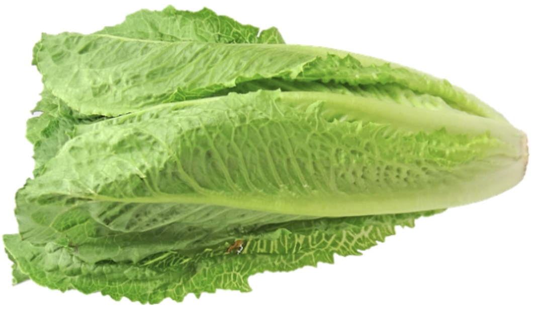 Római saláta bébi 6 db /doboz