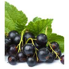 Ribizli fekete 2,5 kg mirelit