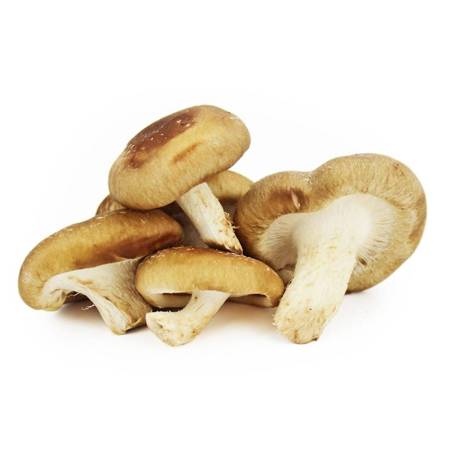 Shitake gomba /kg