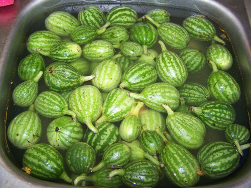 Savanyú kis dinnye 3 kg/1,8 kg