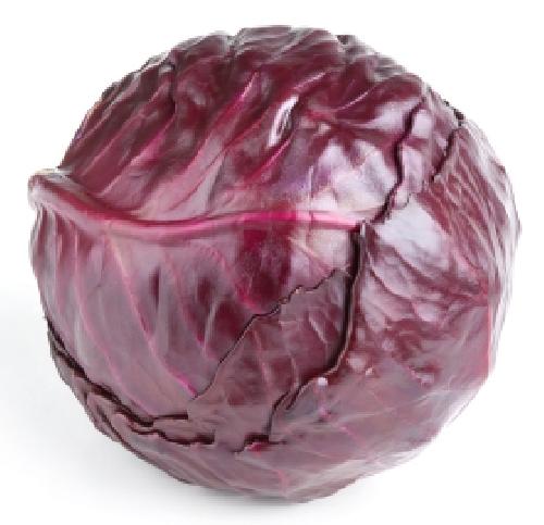 Káposzta lila /kg
