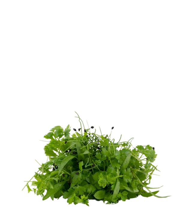 Mikrozöld gulyás mix 20 g