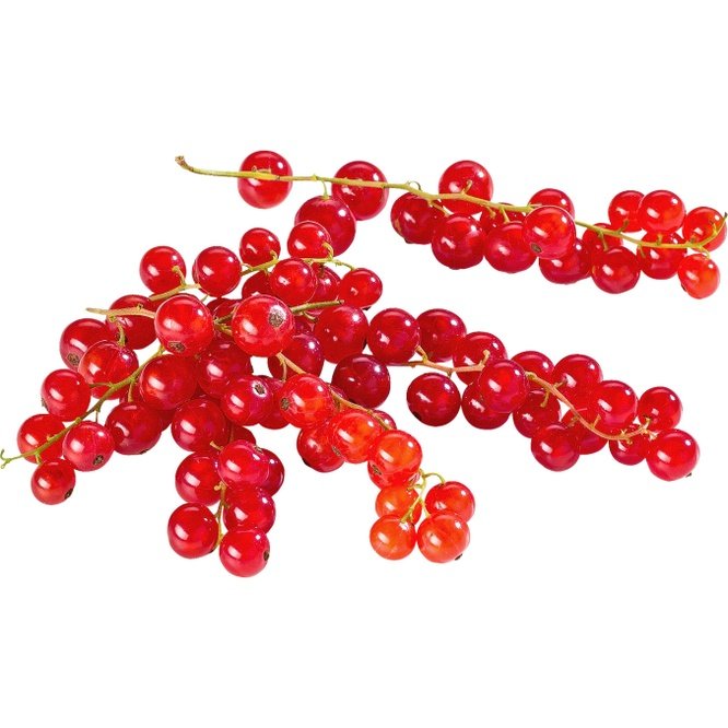 Ribizli 125 g/doboz
