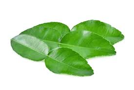 Lime levél 100 g mirelit