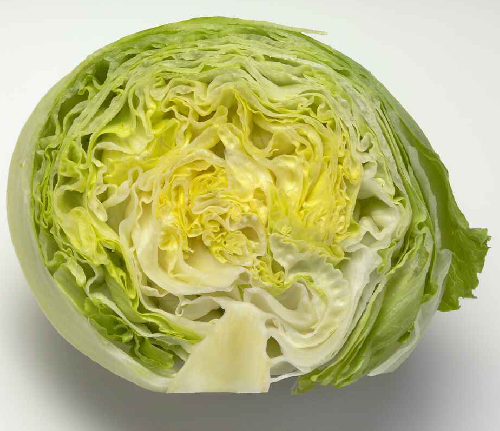 Jégsaláta import /db