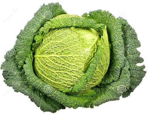 Kelkáposzta /kg