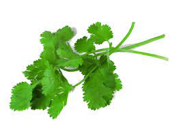 Koriander egész 250 g SPICEMARKET