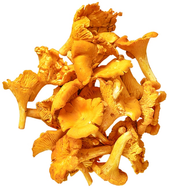 Rókagomba egész 1 kg mirelit