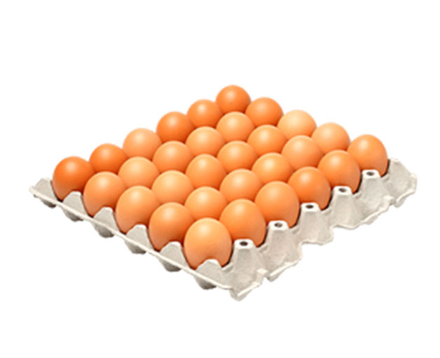 Tojás fertőtlenített L méret