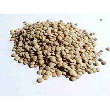 Lencse száraz 5 kg HEALTH EXPERT