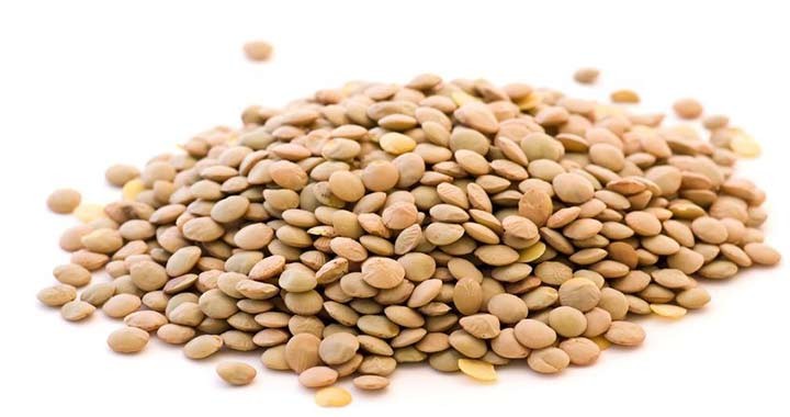 Lencse száraz 5 kg MAGCENTRUM