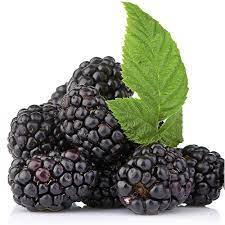 Szeder 2,5 kg mirelit