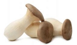 Ördögszekér gomba /kg