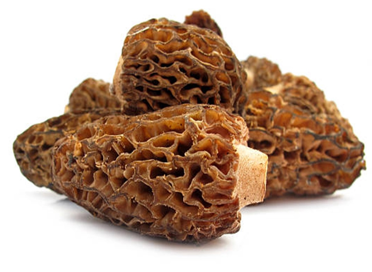 Kucsma gomba 1 kg mirelit