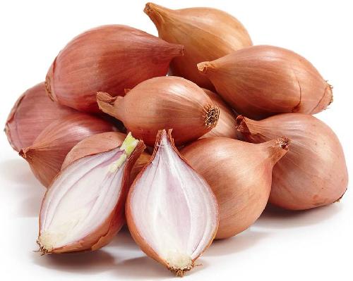 Hagyma shalotten /kg