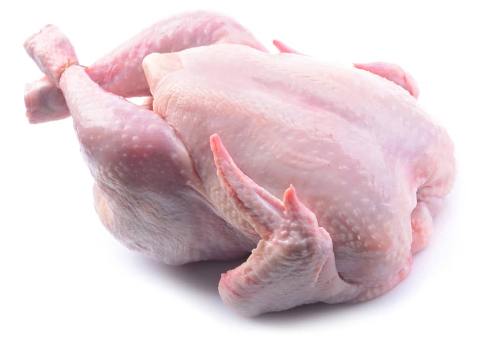 Csirke egész