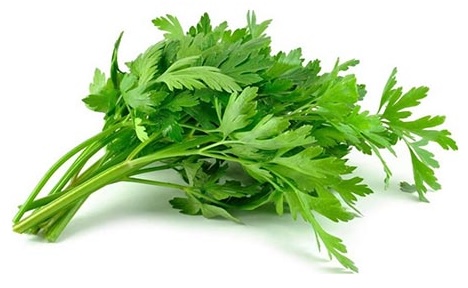 Parsley Leaves 2-4 mm 10 kg
