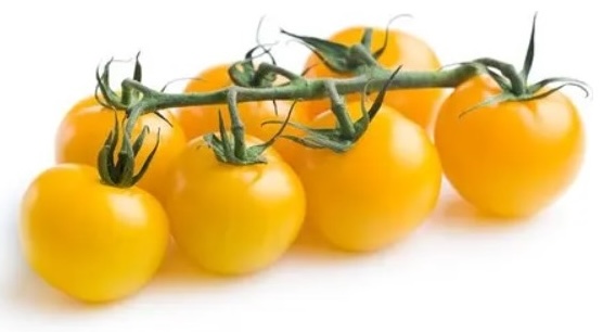 Paradicsom koktél sárga /kg