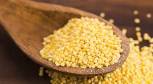 Köles 5 kg HEALTH EXPERT