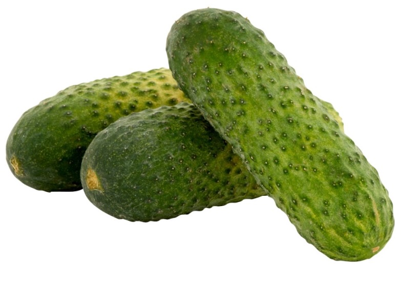 Uborka kovászolni való /kg