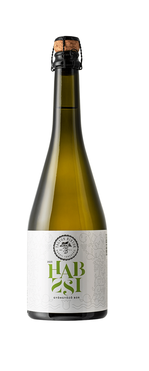 X Tagyon Birtok Olaszrizling gyöngyözőbor 2024 0.75L