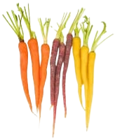 Bébirépa színes (sárga, lila) /csomag