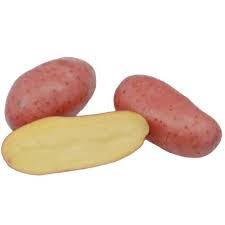 Kifliburgonya új /kg