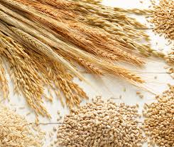 Malomipari termékek