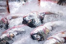 Fagyasztott Halak, Tenger Gyümölcsei