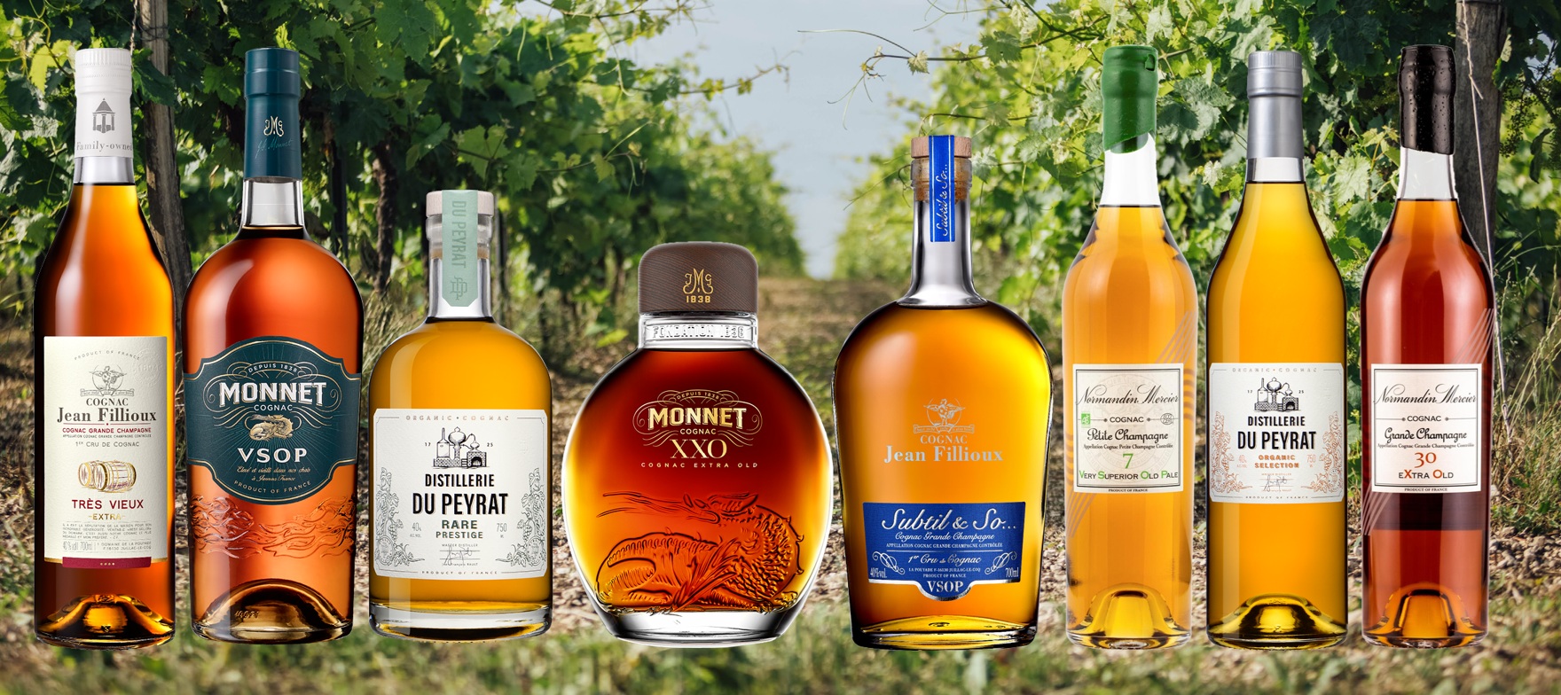Konyak-Brandy