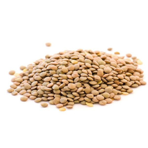 Magcentrum lencse száraz 5 kg