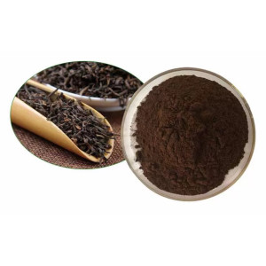 Gast-Food instant tea citrom ízű porciós (100 X 13 g / 2 dl)