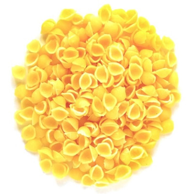 Kiskagyló 4 tojásos 5 kg BALOGH