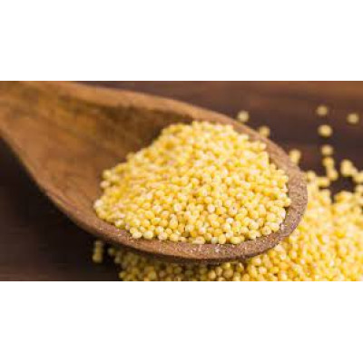 Health Expert köles 5 kg