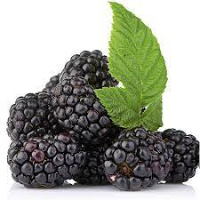 Szeder 2,5 kg mirelit