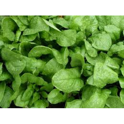 Paraj leveles 2,5 kg mirelit