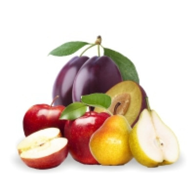 Vegyes befőtt 4.200 ml/2.200 g REGE