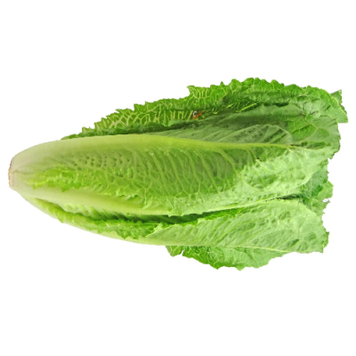 Római Saláta import /db