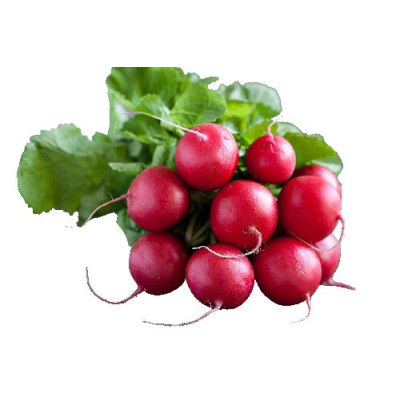 Retek hónapos /csomó