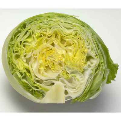 Jégsaláta import /db